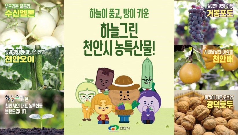천안시 농특산물